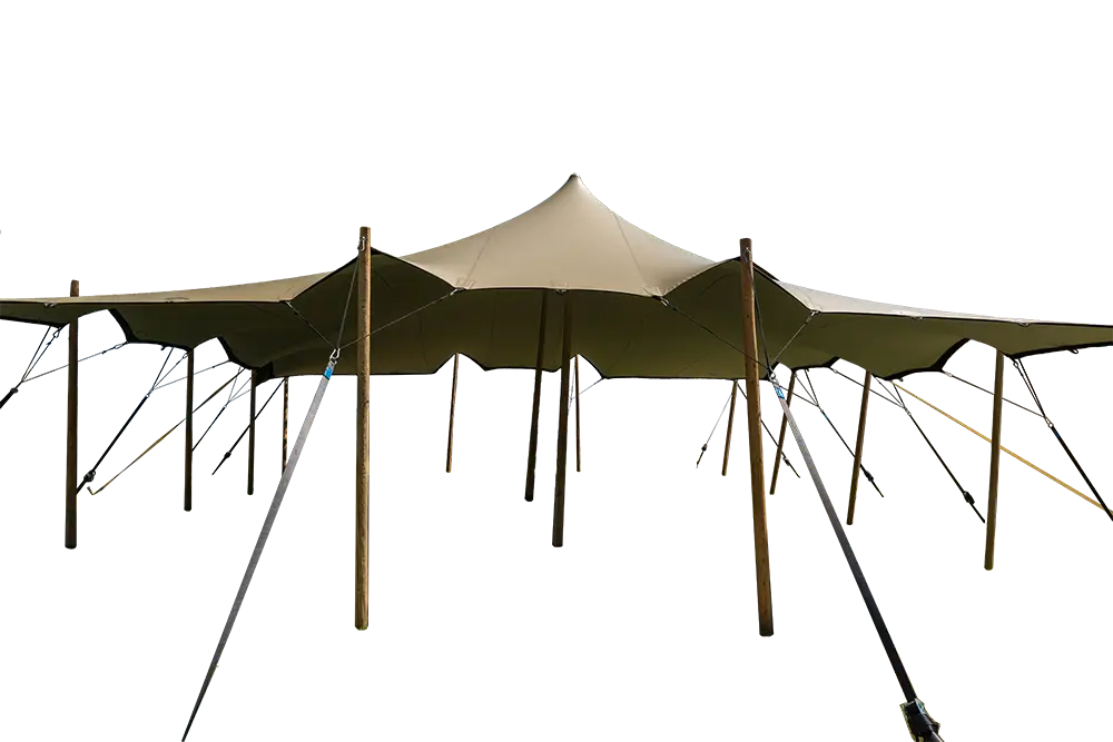 tenttt1